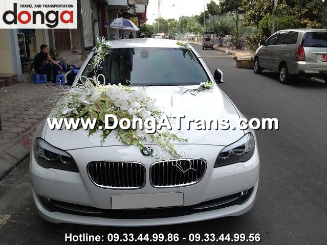 Used 2012 BMW 5 SERIES 523IDBAXG20 for Sale BF811299  BE FORWARD