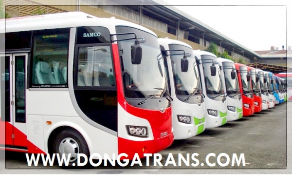 cho-thue-xe-di-dao-cat-ba-hai-phong (8)