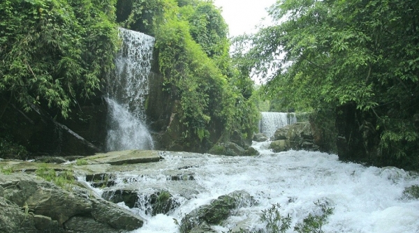 thong-tin-ve-khoang-xanh-suo-tien (6)