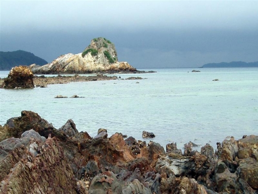 thong-tin-dao-co-to