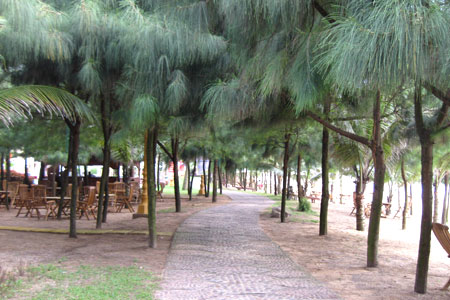 thong-tin-ve-bai-lu (1)