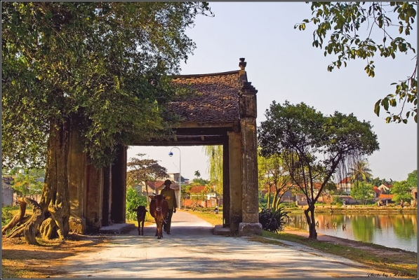cho-thue-xe-di-lang-co-duong-lam-gia-re (14)