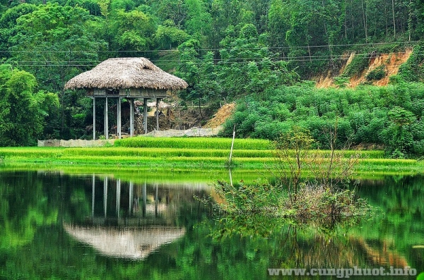 thong-tin-du-lich-ban-ngoi-tu-yen-bai
