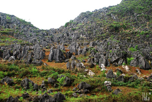 kinh-nghiem-du-lich-meo-vac-hoang-su-phi-dong-van-ha-giang-1