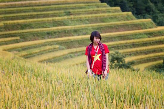 cho-thue-xe-di-mu-cang-chai-yen-baii