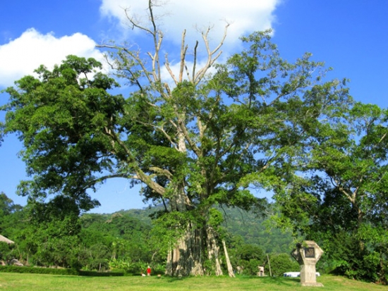 gioi-thieu-ve-khu-di-tich-lich-su-tan-trao