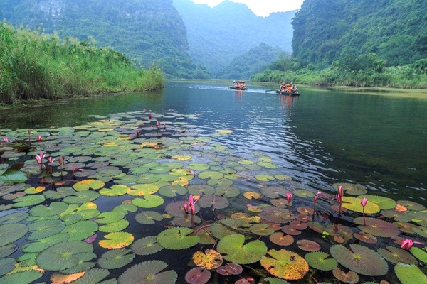 kinh-nghiem-du-lich-tam-coc-bich-dong-ninh-binh-25