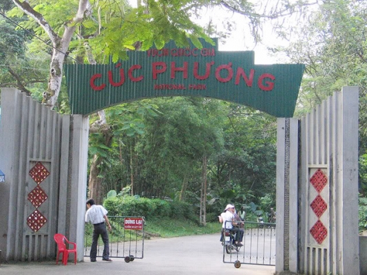 tim-hieu-khu-du-lich-sinh-thai-vuon-quoc-gia-cuc-phuong-31