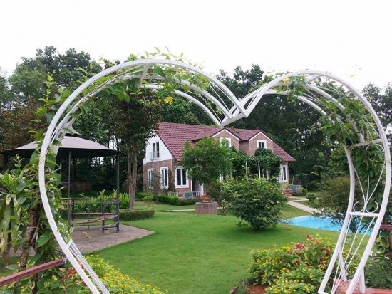 kinh-nghiem-di-choi-ha-noi-daisy-garden-thoai-mai-2