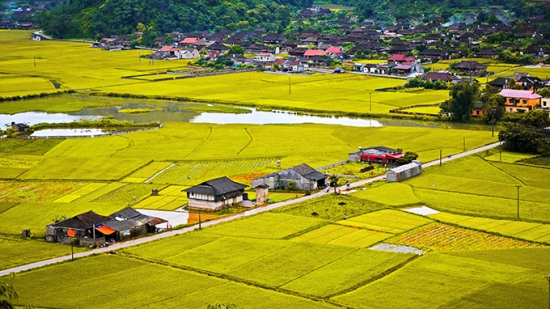 kinh-nghiem-di-lang-du-lich-xa-quynh-son-bac-son-lang-son