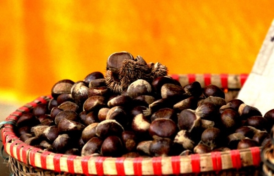 kinh-nghiem-du-lich-dong-nguom-ngao-cao-bang-2