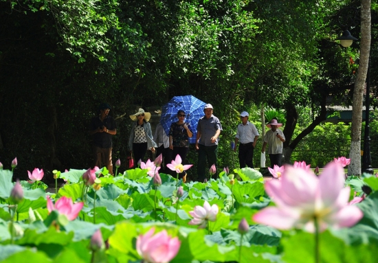 gioi-thieu-khu-di-tich-kim-lien-nam-dan-nghe-an-1